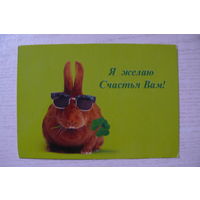 Я желаю Счастья Вам! я(11,5см*16,5см, кролик), чистая.