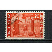Лихтенштейн - 1960 - Сельское хозяйство 1,20Fr - [Mi.396] - 1 марка. Гашеная.  (Лот 55Ga)-T25P40