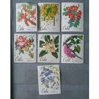 Куба цветы 7шт