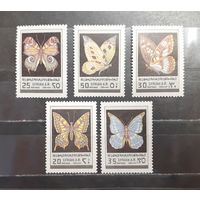 Сирия. Фауна. Бабочки (1464)