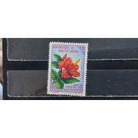 РАСПРОДАЖА ВЕРХНЯЯ ВОЛЬТА 1963г. Чист*