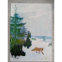 1956. Никольский. Лиса