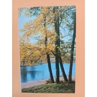 Открытка 1985