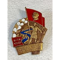 Знак ранних советов Строителю каналов в голодной степи реплика