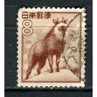Япония - 1952/1954 - Японский сероу 8Y - [Mi.588] - 1 марка. Гашеная.  (Лот 66Hk)-T41P40