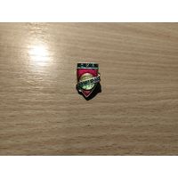 Футбольный клуб СКА Ростов-Дон