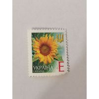 Марка шестого стандартного выпуска 2004 года - Подсолнечник однолетний (Helianthus annuus) поврежден уголок