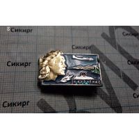 Значок Надежда Курченко и самолет АН-24б