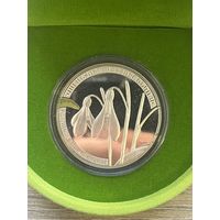 Серебряная монета Армении 2010 года выпуска номиналом 1000 драмов