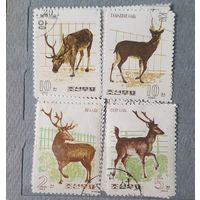 КНДР олени 4шт