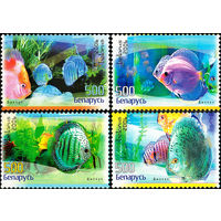 Аквариумные рыбы Беларусь 2006 год (677-680) серия из 4-х марок