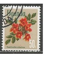 Уганда. Цветы. Спатодея. 1969г. Mi#111.