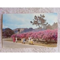 Панама, Эль-Валье-де-Антон.