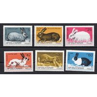 Болгария 1986. Фауна кролики 6 марок (3447)