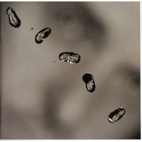 Peter Gabriel – Up - 2002,CD,Album,Made in Europe.