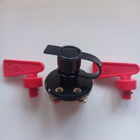 Выключатель массы