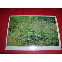 Шишкин Травки чистая