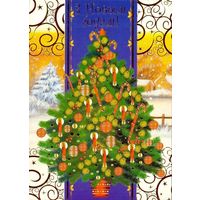 Беларусь ДМПК 2008 С Новым годом !