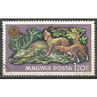 Венгрия. Всемирная охотничья выставка. 1971г. Mi#2668.