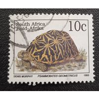 Лот 289 ЮАР (1993) ЮАР Геометрическая черепаха ZA893