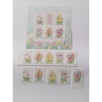 Россия  2001 5 м+сцепка из 5 м+м/лист тюльпаны