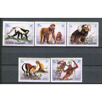 Фуджейра - 1972г. - Обезьяны - 5 марок - полная серия, MNH, 1 марка с полосой на клее [Mi 1532-1536]. #O-Se-Z-1-2