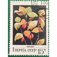 СССР 1982. Флора. Кизил