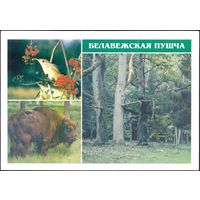 Беларусь ДМПК 1998 Беловежская пуща