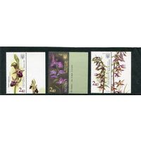 Украина 2015. Цветы. Орхидеи