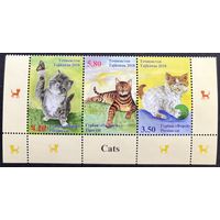 Таджикистан 2018 Фауна Кошки