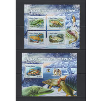 Фауна рыбы Сан-Томе и Принсипи 2016** Морская фауна Арктики