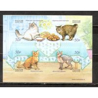 ФФ1 Россия 2020 Кошки самоклейка