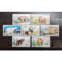Монголия. 1989 год. Фауна. Медведи (1057)