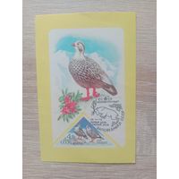 Календарик 1987