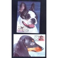 Беларусь 2017 Картмаксимумы щенки фауна