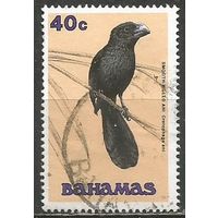 Багамы. Кукушка Ани. 1991г. Mi#743.