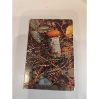 Календарик,сссп,1982