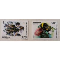 Пчелы. Беларусь, 2004