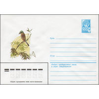 Художественный маркированный конверт СССР N 14471 (23.07.1980) Сорокопут-жулан