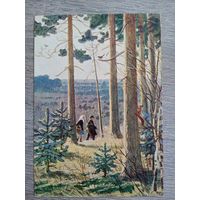 1956. Глебов. Утро в лесу