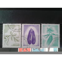 Гвинея-Бисау, 1989. Фрукты. Mi-2.3 евро гаш.