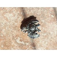 Копия Россия