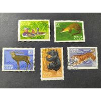 1970 СССР. Фауна. Звери.