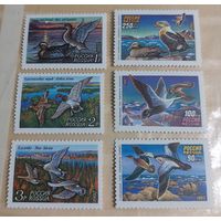 Россия 1992-93 Утки