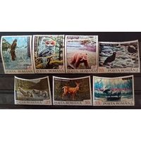 Животные Севера.