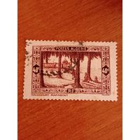 1936 французская колония Алжир флора (4-7)