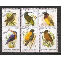 ФФ2 Сан Томе и Принспи 1979 Птицы гаш