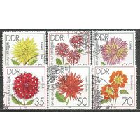 ГДР. Международная выставка садоых цветов. Эрфурт. 1979г. Mi#2435-40. Серия с СГ.