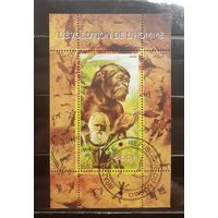 Малый блок (1 марка). Конго. 2009 год. Древний человек