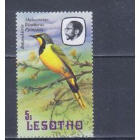 [519] Лесото 1982. Фауна.Птицы. Гашеная марка.